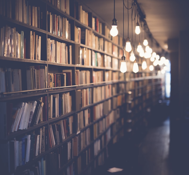 Library shelves filled with books waiting to be reopened